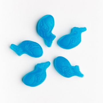 Baleine bleue