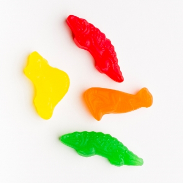 Dinosaure surette